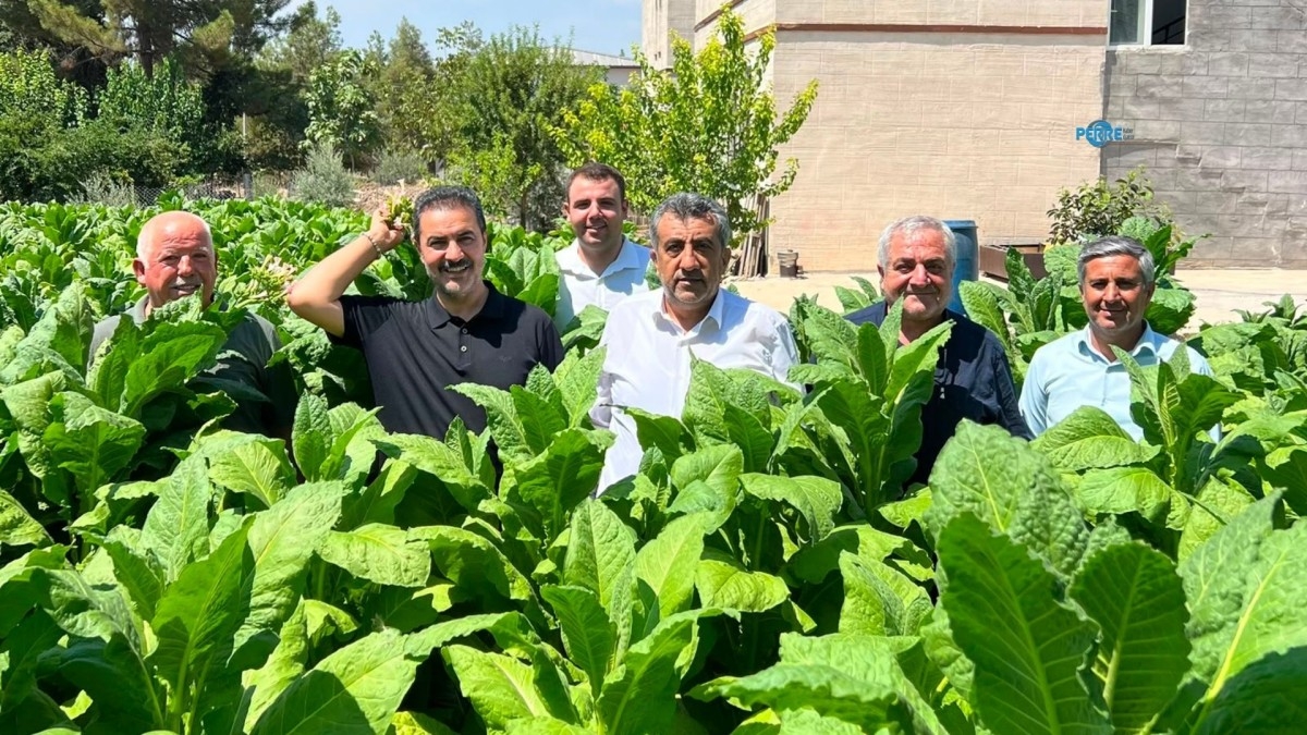 Adıyaman Tütünü İçin Stratejik Vurgu: “Ekonomi İçin Önemli” - Videolu Haber